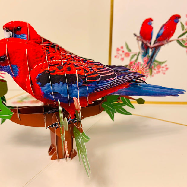 LUXURY Gold Double Crimson Rosella Parrot Australian Bird Origami Pop Cards 3D Pop Up Greeting Card Happy Birthday Thank You Handmade Gift Thinking of You Blank Card for Any Occasion Happy Mother's Day Happy Father's Australiana Birds