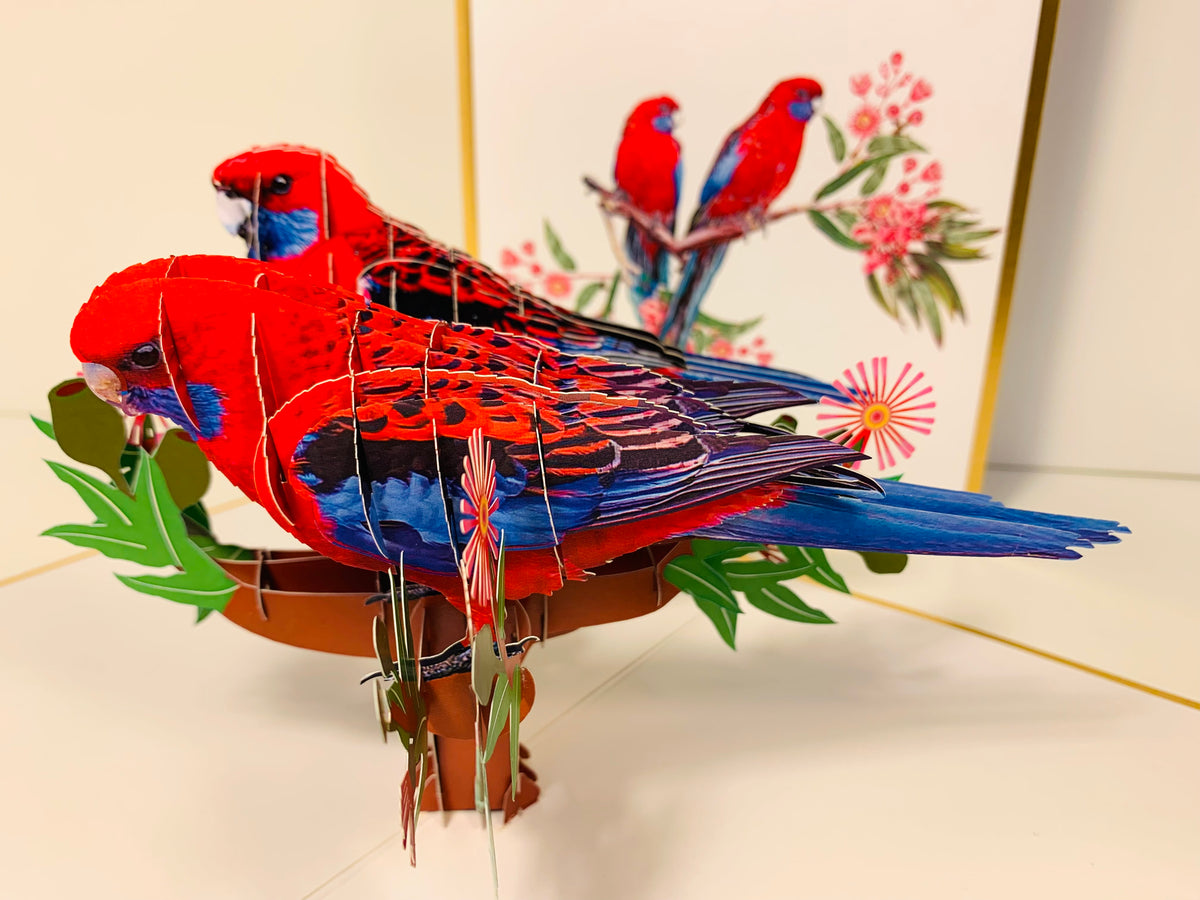 LUXURY Gold Double Crimson Rosella Parrot Australian Bird Origami Pop Cards 3D Pop Up Greeting Card Happy Birthday Thank You Handmade Gift Thinking of You Blank Card for Any Occasion Happy Mother's Day Happy Father's Australiana Birds