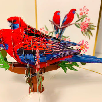 LUXURY Gold Double Crimson Rosella Parrot Australian Bird Origami Pop Cards 3D Pop Up Greeting Card Happy Birthday Thank You Handmade Gift Thinking of You Blank Card for Any Occasion Happy Mother's Day Happy Father's Australiana Birds