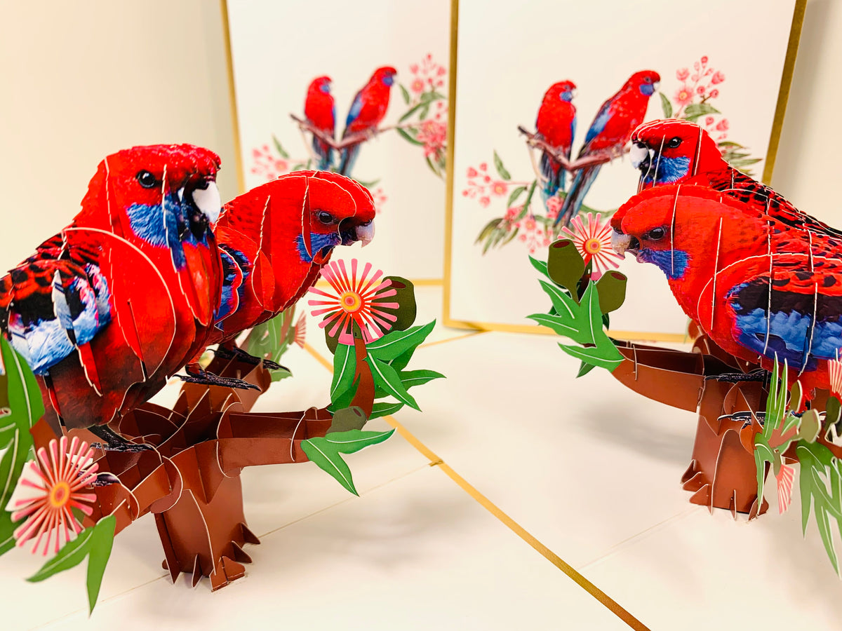 LUXURY Gold Double Crimson Rosella Parrot Australian Bird Origami Pop Cards 3D Pop Up Greeting Card Happy Birthday Thank You Handmade Gift Thinking of You Blank Card for Any Occasion Happy Mother's Day Happy Father's Australiana Birds