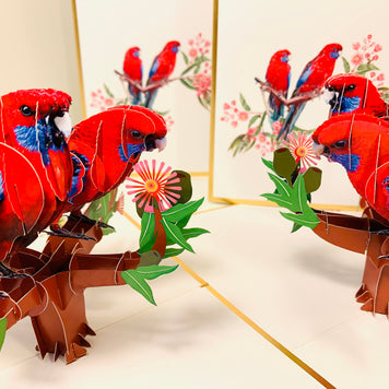 LUXURY Gold Double Crimson Rosella Parrot Australian Bird Origami Pop Cards 3D Pop Up Greeting Card Happy Birthday Thank You Handmade Gift Thinking of You Blank Card for Any Occasion Happy Mother's Day Happy Father's Australiana Birds