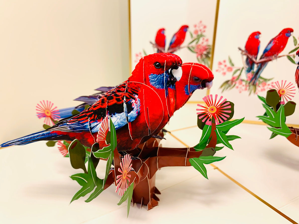 LUXURY Gold Double Crimson Rosella Parrot Australian Bird Origami Pop Cards 3D Pop Up Greeting Card Happy Birthday Thank You Handmade Gift Thinking of You Blank Card for Any Occasion Happy Mother's Day Happy Father's Australiana Birds