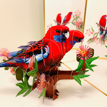 LUXURY Gold Double Crimson Rosella Parrot Australian Bird Origami Pop Cards 3D Pop Up Greeting Card Happy Birthday Thank You Handmade Gift Thinking of You Blank Card for Any Occasion Happy Mother's Day Happy Father's Australiana Birds