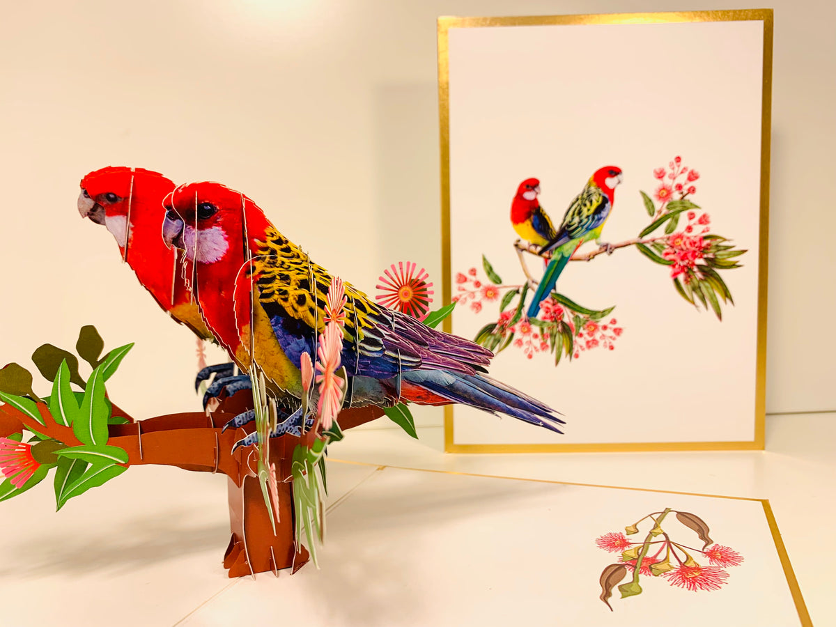 LUXURY Gold Double Eastern Rosella Parrot Australian Bird Origami Pop Cards 3D Pop Up Greeting Card Happy Birthday Thank You Handmade Gift Thinking of You Blank Card for Any Occasion Happy Mother's Day Happy Father's Australiana Birds