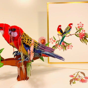 LUXURY Gold Double Eastern Rosella Parrot Australian Bird Origami Pop Cards 3D Pop Up Greeting Card Happy Birthday Thank You Handmade Gift Thinking of You Blank Card for Any Occasion Happy Mother's Day Happy Father's Australiana Birds