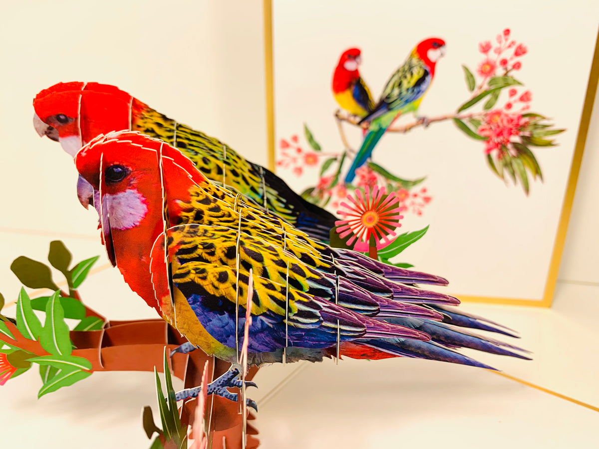 LUXURY Gold Double Eastern Rosella Parrot Australian Bird Origami Pop Cards 3D Pop Up Greeting Card Happy Birthday Thank You Handmade Gift Thinking of You Blank Card for Any Occasion Happy Mother's Day Happy Father's Australiana Birds