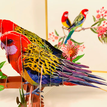 LUXURY Gold Double Eastern Rosella Parrot Australian Bird Origami Pop Cards 3D Pop Up Greeting Card Happy Birthday Thank You Handmade Gift Thinking of You Blank Card for Any Occasion Happy Mother's Day Happy Father's Australiana Birds