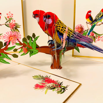 LUXURY Gold Double Eastern Rosella Parrot Australian Bird Origami Pop Cards 3D Pop Up Greeting Card Happy Birthday Thank You Handmade Gift Thinking of You Blank Card for Any Occasion Happy Mother's Day Happy Father's Australiana Birds