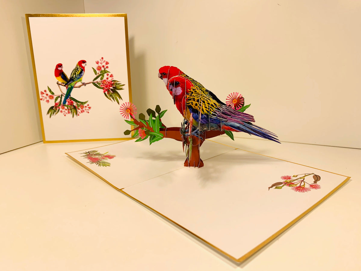 LUXURY Gold Double Eastern Rosella Parrot Australian Bird Origami Pop Cards 3D Pop Up Greeting Card Happy Birthday Thank You Handmade Gift Thinking of You Blank Card for Any Occasion Happy Mother's Day Happy Father's Australiana Birds