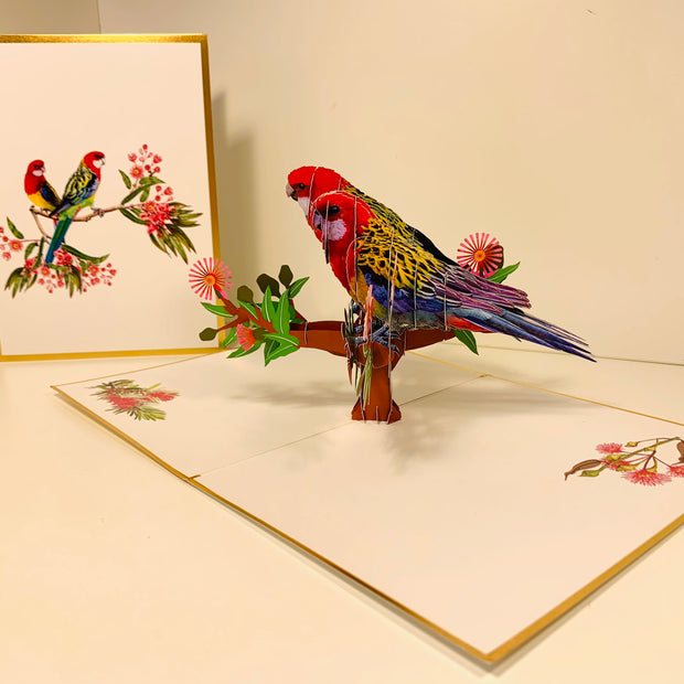 LUXURY Gold Double Eastern Rosella Parrot Australian Bird Origami Pop Cards 3D Pop Up Greeting Card Happy Birthday Thank You Handmade Gift Thinking of You Blank Card for Any Occasion Happy Mother's Day Happy Father's Australiana Birds