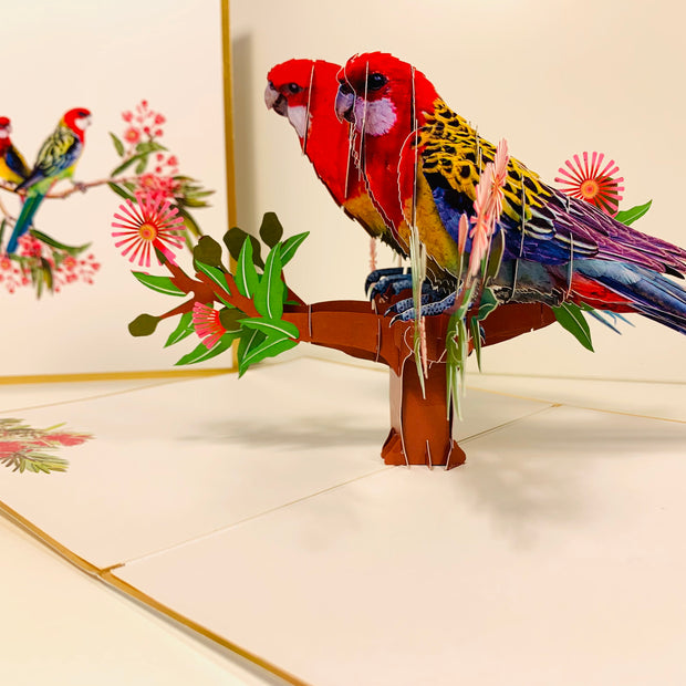 LUXURY Gold Double Eastern Rosella Parrot Australian Bird Origami Pop Cards 3D Pop Up Greeting Card Happy Birthday Thank You Handmade Gift Thinking of You Blank Card for Any Occasion Happy Mother's Day Happy Father's Australiana Birds