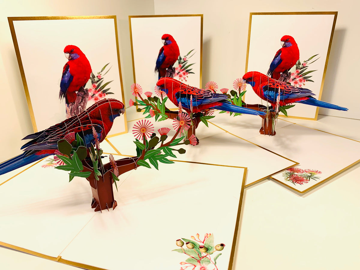 LUXURY Gold Single Crimson Rosella Parrot Australian Bird Origami Pop Cards 3D Pop Up Greeting Card Happy Birthday Thank You Handmade Gift Thinking of You Blank Card for Any Occasion Happy Mother's Day Happy Father's Australiana Birds