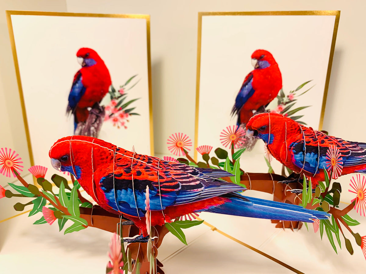 LUXURY Gold Single Crimson Rosella Parrot Australian Bird Origami Pop Cards 3D Pop Up Greeting Card Happy Birthday Thank You Handmade Gift Thinking of You Blank Card for Any Occasion Happy Mother's Day Happy Father's Australiana Birds