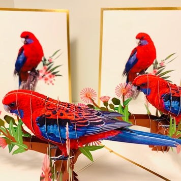 LUXURY Gold Single Crimson Rosella Parrot Australian Bird Origami Pop Cards 3D Pop Up Greeting Card Happy Birthday Thank You Handmade Gift Thinking of You Blank Card for Any Occasion Happy Mother's Day Happy Father's Australiana Birds