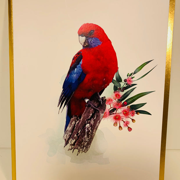 LUXURY Gold Single Crimson Rosella Parrot Australian Bird Origami Pop Cards 3D Pop Up Greeting Card Happy Birthday Thank You Handmade Gift Thinking of You Blank Card for Any Occasion Happy Mother's Day Happy Father's Australiana Birds