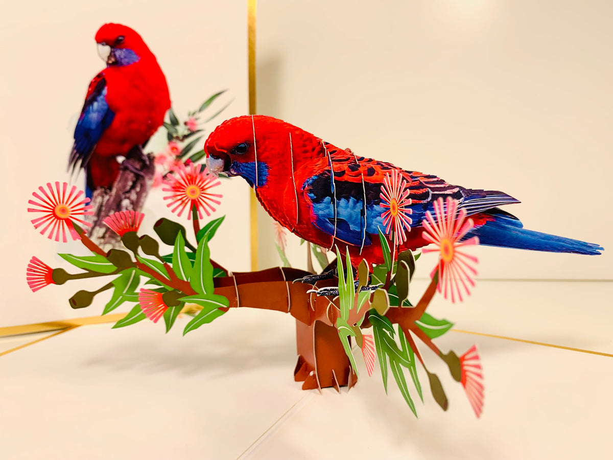 LUXURY Gold Single Crimson Rosella Parrot Australian Bird Origami Pop Cards 3D Pop Up Greeting Card Happy Birthday Thank You Handmade Gift Thinking of You Blank Card for Any Occasion Happy Mother's Day Happy Father's Australiana Birds