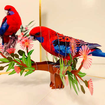 LUXURY Gold Single Crimson Rosella Parrot Australian Bird Origami Pop Cards 3D Pop Up Greeting Card Happy Birthday Thank You Handmade Gift Thinking of You Blank Card for Any Occasion Happy Mother's Day Happy Father's Australiana Birds