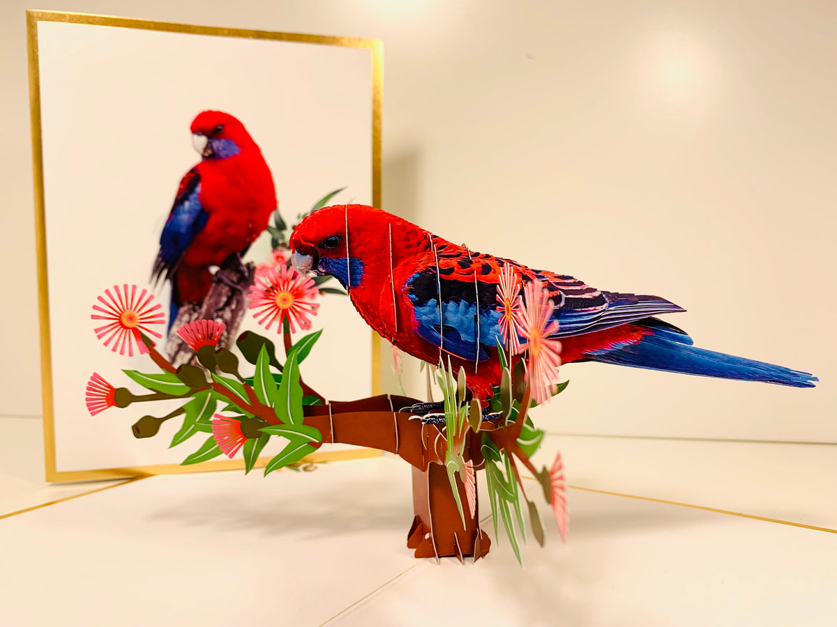 LUXURY Gold Single Crimson Rosella Parrot Australian Bird Origami Pop Cards 3D Pop Up Greeting Card Happy Birthday Thank You Handmade Gift Thinking of You Blank Card for Any Occasion Happy Mother's Day Happy Father's Australiana Birds