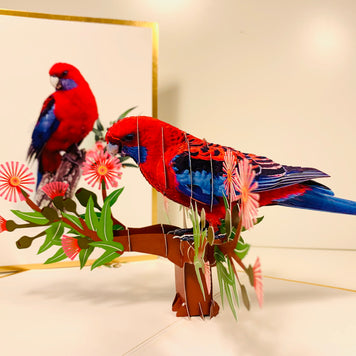 LUXURY Gold Single Crimson Rosella Parrot Australian Bird Origami Pop Cards 3D Pop Up Greeting Card Happy Birthday Thank You Handmade Gift Thinking of You Blank Card for Any Occasion Happy Mother's Day Happy Father's Australiana Birds