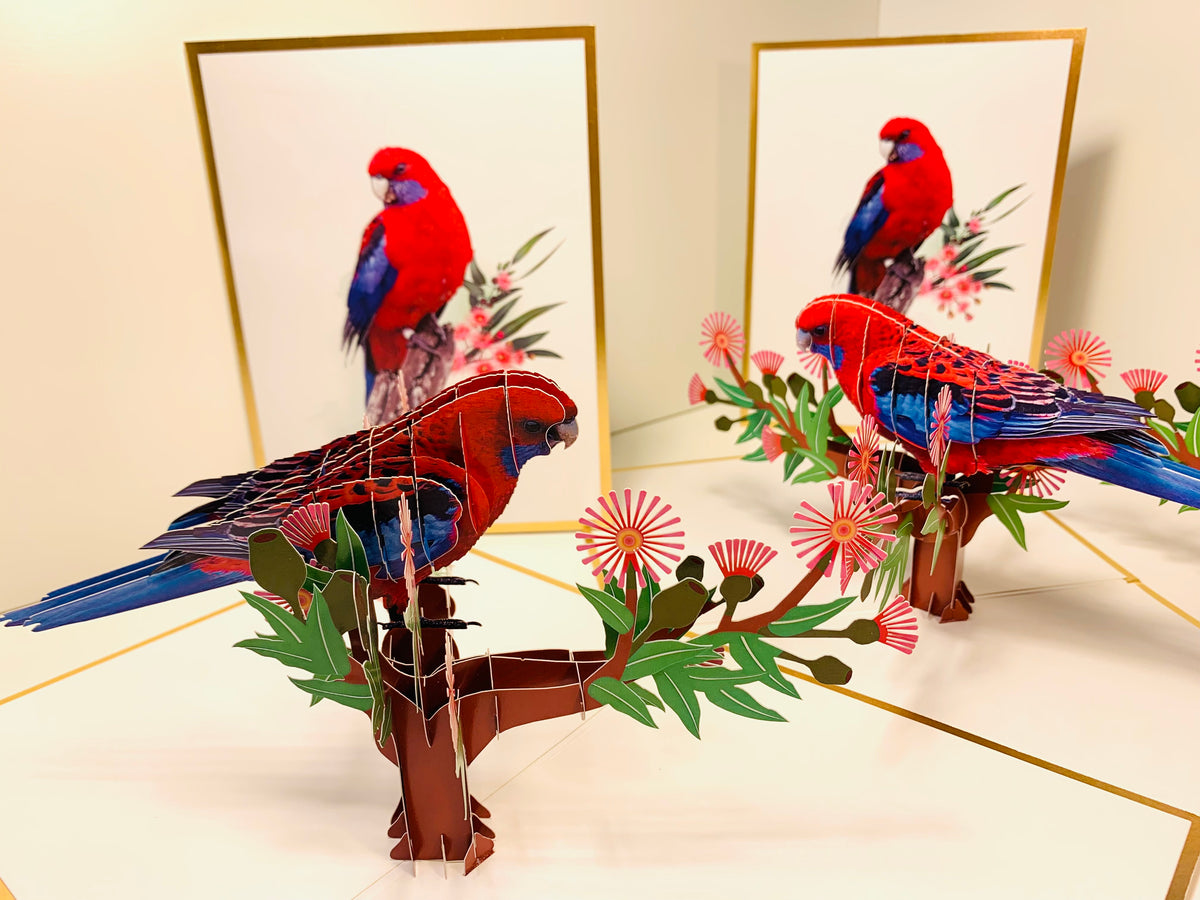 LUXURY Gold Single Crimson Rosella Parrot Australian Bird Origami Pop Cards 3D Pop Up Greeting Card Happy Birthday Thank You Handmade Gift Thinking of You Blank Card for Any Occasion Happy Mother's Day Happy Father's Australiana Birds