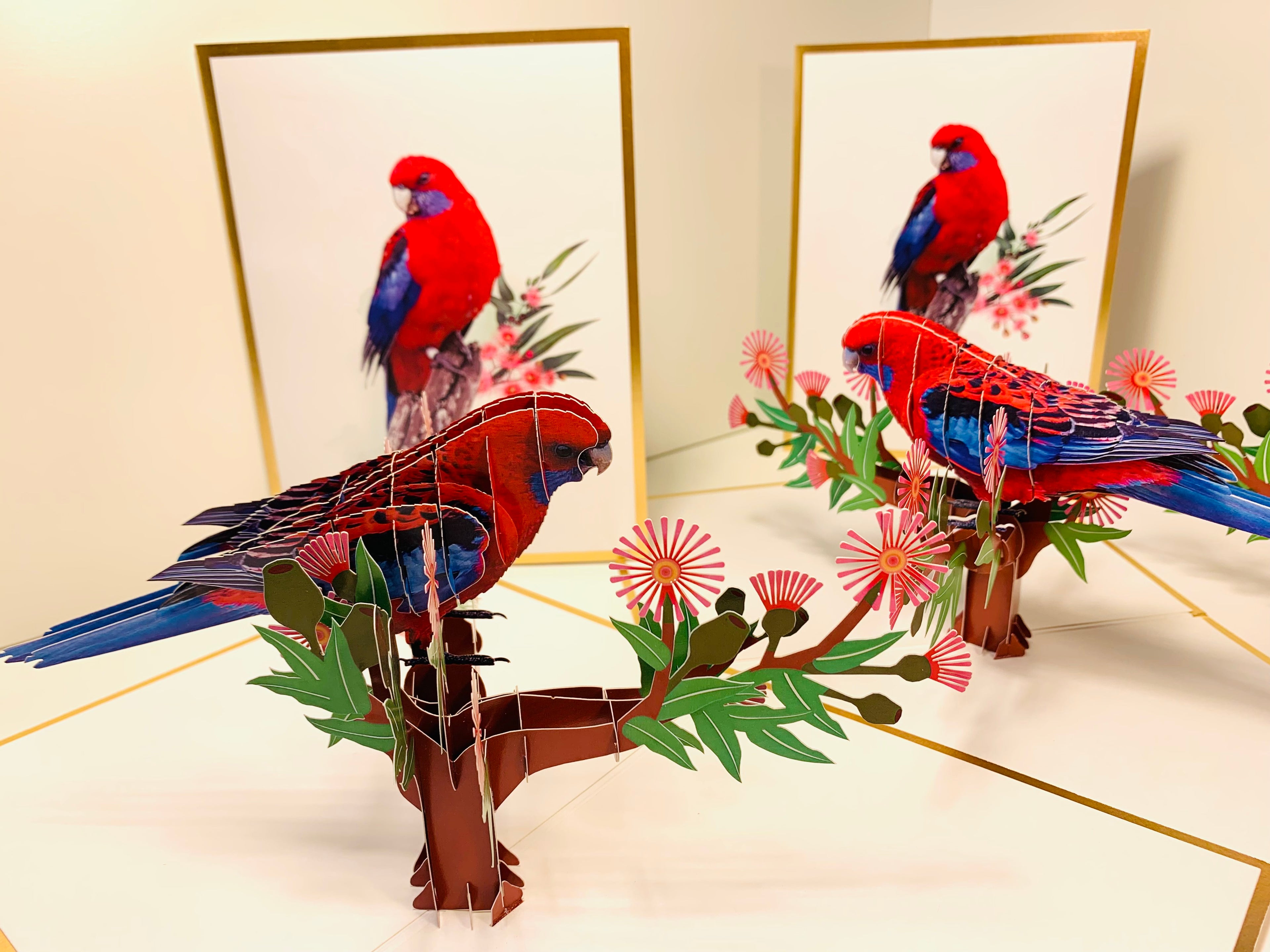 LUXURY Gold Single Crimson Rosella Parrot Australian Bird Origami Pop Cards 3D Pop Up Greeting Card Happy Birthday Thank You Handmade Gift Thinking of You Blank Card for Any Occasion Happy Mother's Day Happy Father's Australiana Birds