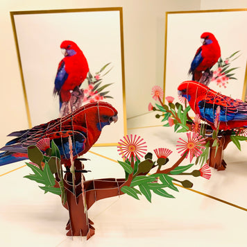 LUXURY Gold Single Crimson Rosella Parrot Australian Bird Origami Pop Cards 3D Pop Up Greeting Card Happy Birthday Thank You Handmade Gift Thinking of You Blank Card for Any Occasion Happy Mother's Day Happy Father's Australiana Birds