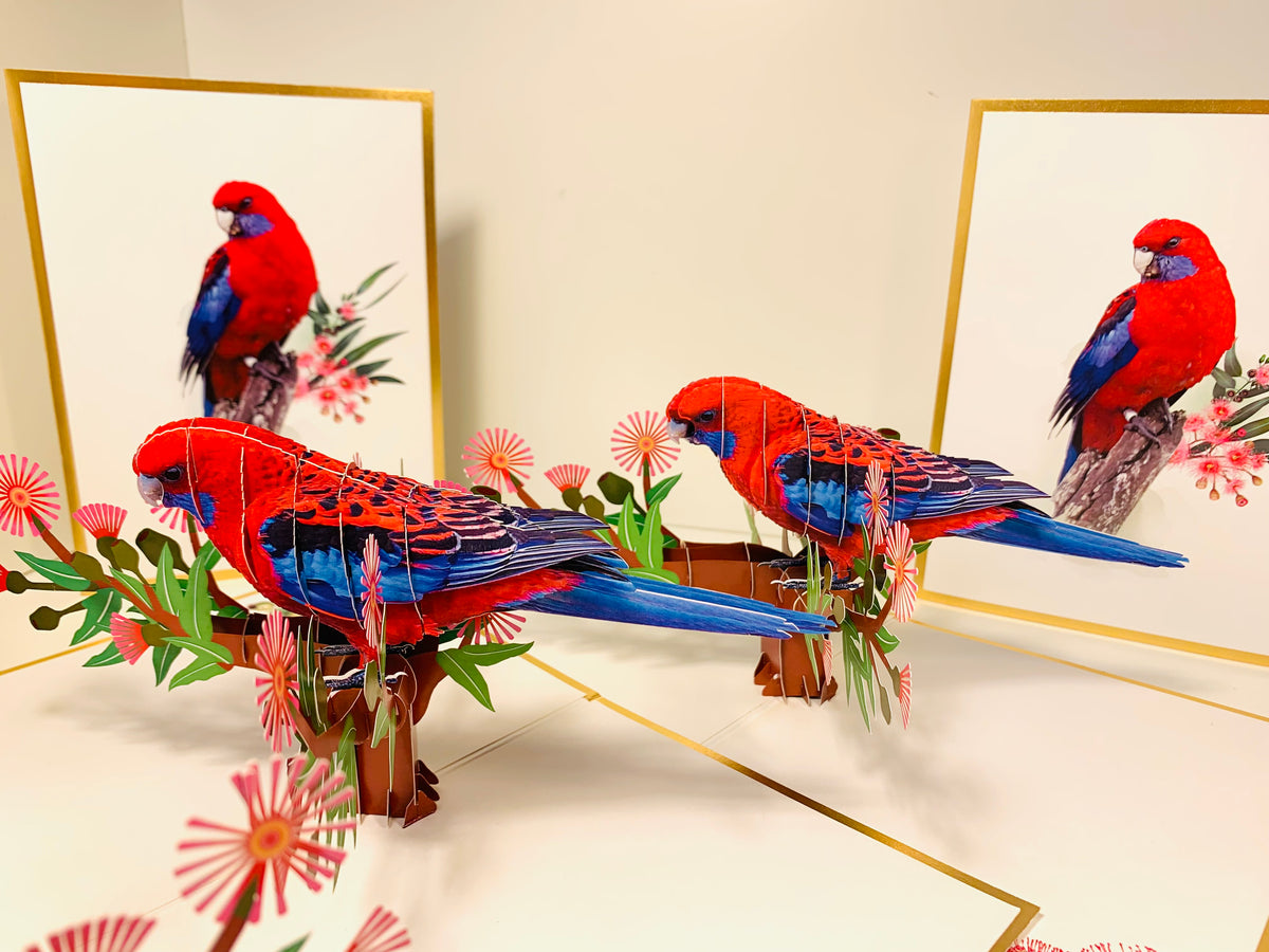 LUXURY Gold Single Crimson Rosella Parrot Australian Bird Origami Pop Cards 3D Pop Up Greeting Card Happy Birthday Thank You Handmade Gift Thinking of You Blank Card for Any Occasion Happy Mother's Day Happy Father's Australiana Birds