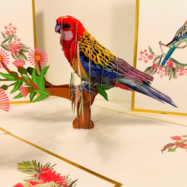 LUXURY Gold Single Eastern Rosella Parrot Australian Bird Origami Pop Cards 3D Pop Up Greeting Card Happy Birthday Thank You Handmade Gift Thinking of You Blank Card for Any Occasion Happy Mother's Day Happy Father's Australiana Birds