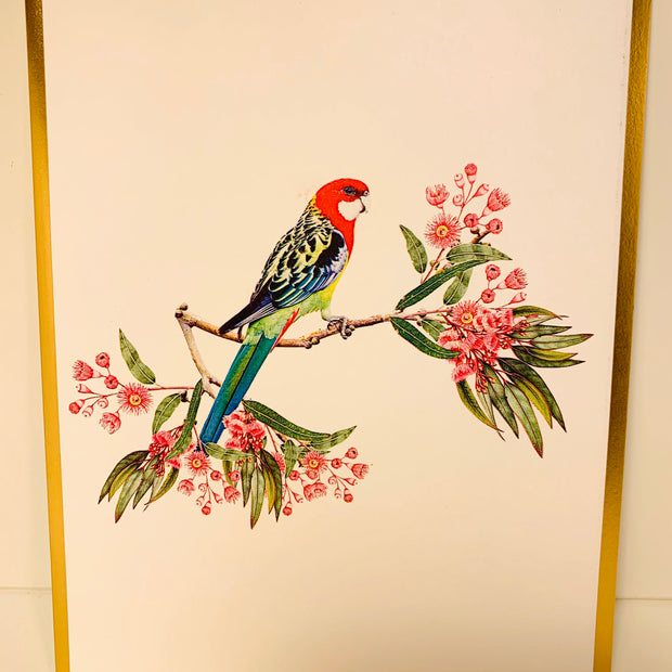 LUXURY Gold Single Eastern Rosella Parrot Australian Bird Origami Pop Cards 3D Pop Up Greeting Card Happy Birthday Thank You Handmade Gift Thinking of You Blank Card for Any Occasion Happy Mother's Day Happy Father's Australiana Birds
