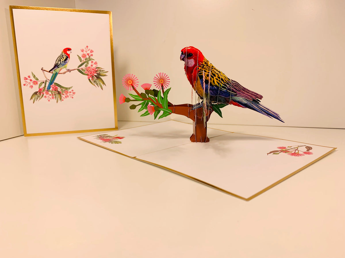 LUXURY Gold Single Eastern Rosella Parrot Australian Bird Origami Pop Cards 3D Pop Up Greeting Card Happy Birthday Thank You Handmade Gift Thinking of You Blank Card for Any Occasion Happy Mother's Day Happy Father's Australiana Birds