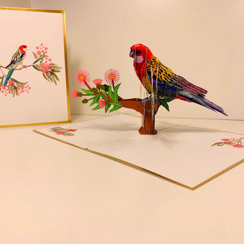 LUXURY Gold Single Eastern Rosella Parrot Australian Bird Origami Pop Cards 3D Pop Up Greeting Card Happy Birthday Thank You Handmade Gift Thinking of You Blank Card for Any Occasion Happy Mother's Day Happy Father's Australiana Birds
