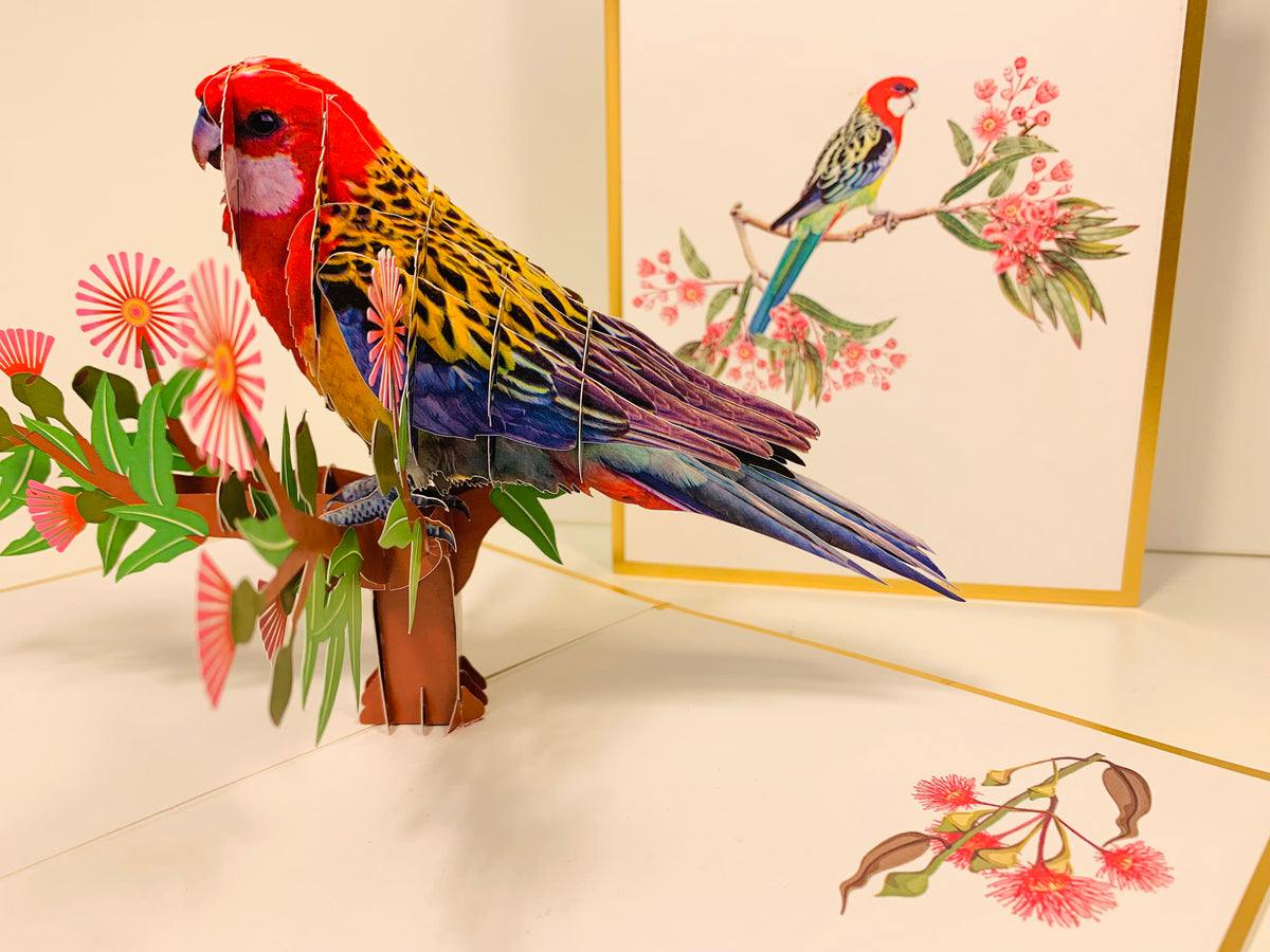 LUXURY Gold Single Eastern Rosella Parrot Australian Bird Origami Pop Cards 3D Pop Up Greeting Card Happy Birthday Thank You Handmade Gift Thinking of You Blank Card for Any Occasion Happy Mother's Day Happy Father's Australiana Birds