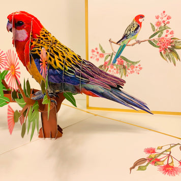 LUXURY Gold Single Eastern Rosella Parrot Australian Bird Origami Pop Cards 3D Pop Up Greeting Card Happy Birthday Thank You Handmade Gift Thinking of You Blank Card for Any Occasion Happy Mother's Day Happy Father's Australiana Birds