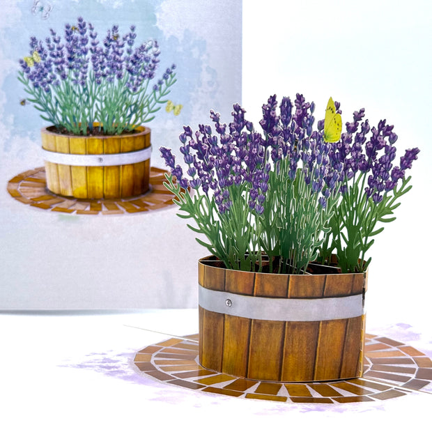 Lavender Flowers in Wooden Bucket Origami Pop Cards 3D Pop Up Greeting Card Happy Birthday Thank You Handmade Gift Thinking of You Blank Card for Any Occasion Happy Mother's Day Happy Father's Australiana Celebrate the Beauty of Flower and Romantic