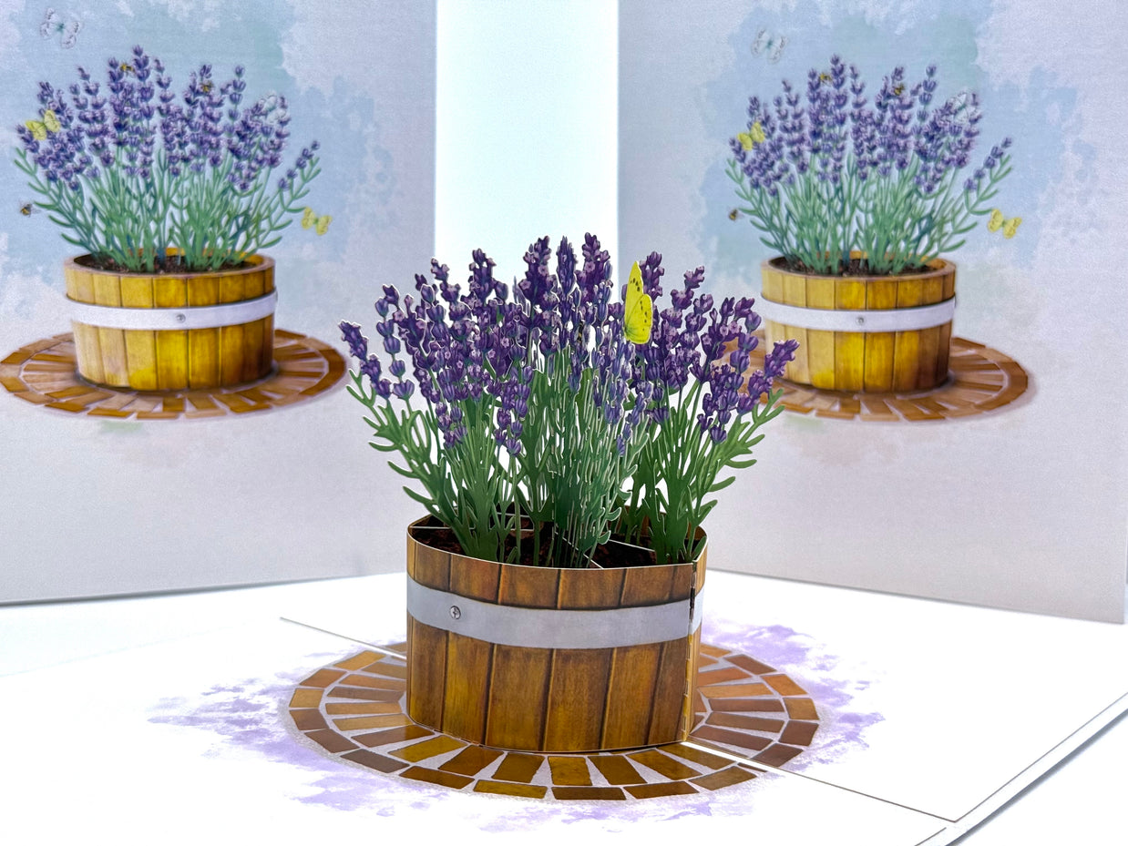Lavender Flowers in Wooden Bucket Origami Pop Cards 3D Pop Up Greeting Card Happy Birthday Thank You Handmade Gift Thinking of You Blank Card for Any Occasion Happy Mother's Day Happy Father's Australiana Celebrate the Beauty of Flower and Romantic