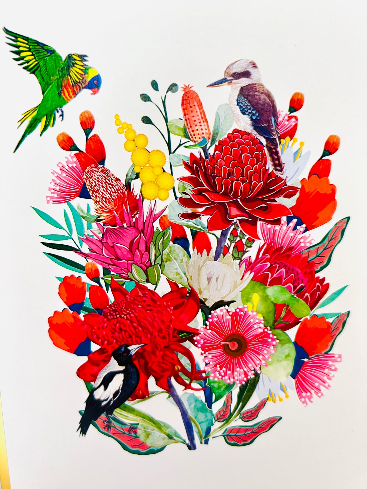 Luxury Gold Australian Native Garden & Birds Origami Pop Cards 3D Pop Up Greeting Card Celebrate Happy Birthday Thank You Handmade Best Wishes Gift Thinking of You Blank Card for Any Occasion Happy Mother's Day Happy Father's Day Australiana
