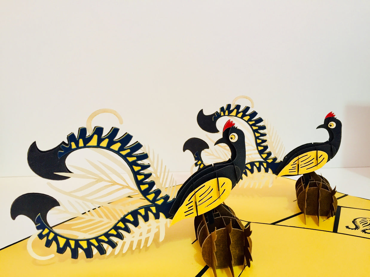 Lyrebird Australian Native Bird Origami Pop Cards 3D Pop Up Greeting Card Happy Birthday Thank You Handmade Gift Thinking of You Blank Card for Any Occasion Happy Mother's Day Happy Father's Australiana Birds