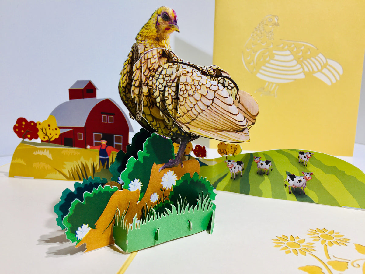 Golden Hen Chicken Origami Pop Cards 3D Pop Up Greeting Card Thank You Handmade Gift Thinking of You Happy Birthday Occasion Australiana Celebrate the Beauty and Happiness During Special Day Best Wishes Gift