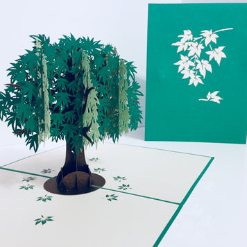 Metallic Japanese Maple Tree in Green 3D POP UP GREETING CARD - Created by Origami Pop Cards Australian Design & Handmade 3D Pop Up Magical Paper Cards, Handmade Pop Up Cards Happy Valentine's Day Celebrate Love Heart Fell and Romantic