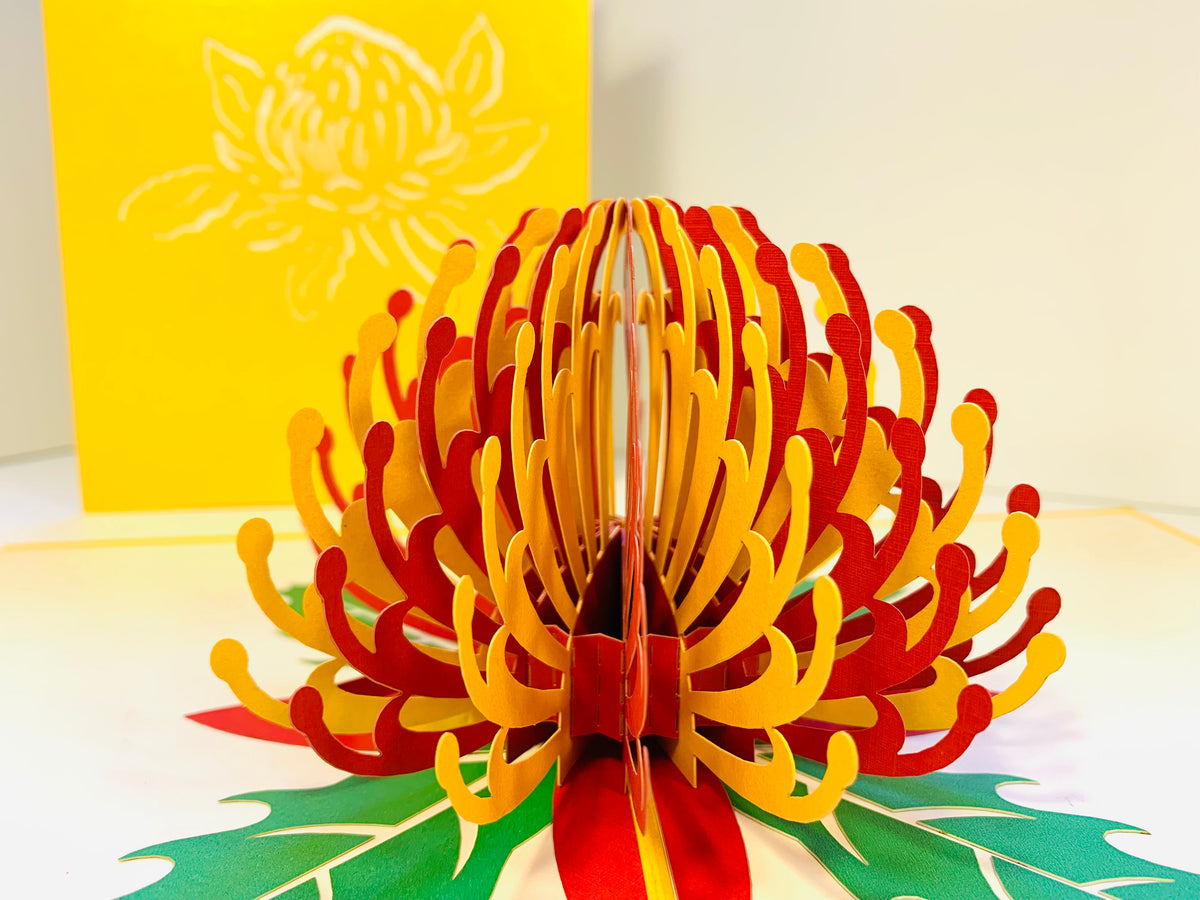 Metallic Waratah Australian Native Flower in Red & Yellow Origami Pop Cards 3D Pop Up Greeting Card Happy Birthday Thank You Handmade Gift Thinking of You Blank Card for Any Occasion Happy Mother's Day Australiana Celebrate the Beauty of Flower