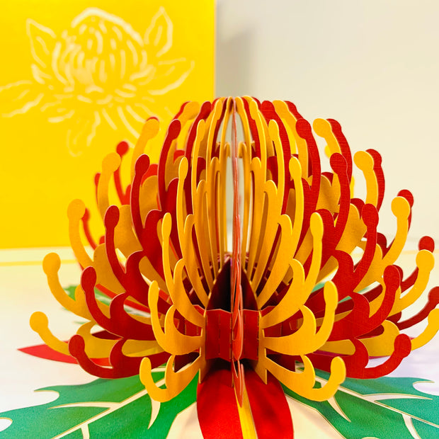 Metallic Waratah Australian Native Flower in Red & Yellow Origami Pop Cards 3D Pop Up Greeting Card Happy Birthday Thank You Handmade Gift Thinking of You Blank Card for Any Occasion Happy Mother's Day Australiana Celebrate the Beauty of Flower