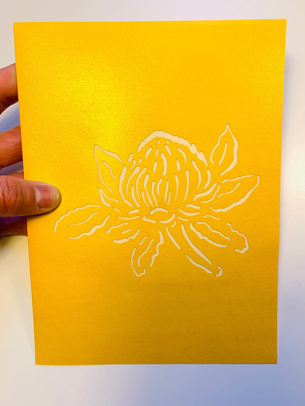 Metallic Waratah Australian Native Flower in Red & Yellow Origami Pop Cards 3D Pop Up Greeting Card Happy Birthday Thank You Handmade Gift Thinking of You Blank Card for Any Occasion Happy Mother's Day Australiana Celebrate the Beauty of Flower