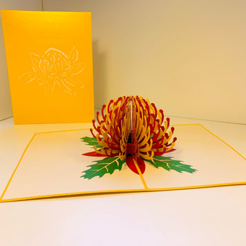 Metallic Waratah Australian Native Flower in Red & Yellow Origami Pop Cards 3D Pop Up Greeting Card Happy Birthday Thank You Handmade Gift Thinking of You Blank Card for Any Occasion Happy Mother's Day Australiana Celebrate the Beauty of Flower