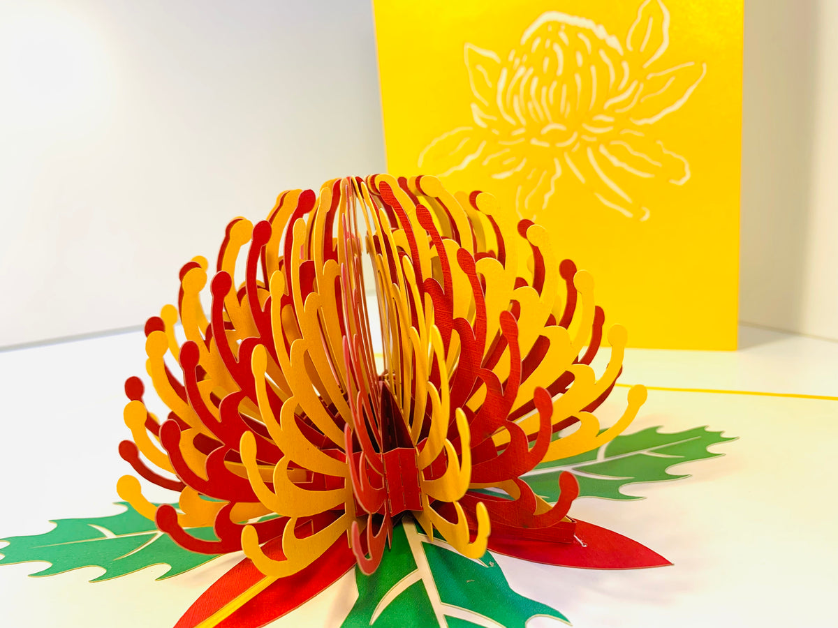 Metallic Waratah Australian Native Flower in Red & Yellow Origami Pop Cards 3D Pop Up Greeting Card Happy Birthday Thank You Handmade Gift Thinking of You Blank Card for Any Occasion Happy Mother's Day Australiana Celebrate the Beauty of Flower