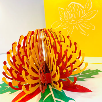 Metallic Waratah Australian Native Flower in Red & Yellow Origami Pop Cards 3D Pop Up Greeting Card Happy Birthday Thank You Handmade Gift Thinking of You Blank Card for Any Occasion Happy Mother's Day Australiana Celebrate the Beauty of Flower