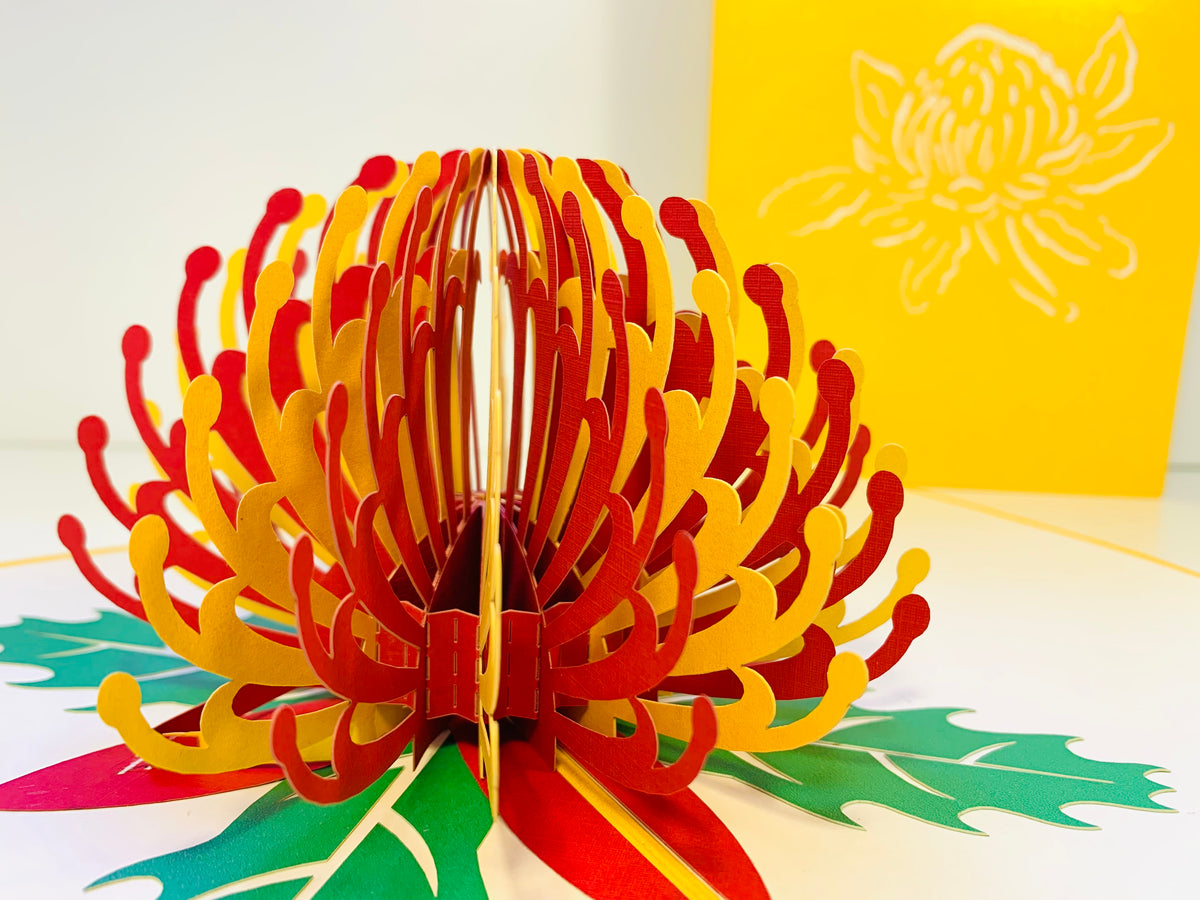 Metallic Waratah Australian Native Flower in Red & Yellow Origami Pop Cards 3D Pop Up Greeting Card Happy Birthday Thank You Handmade Gift Thinking of You Blank Card for Any Occasion Happy Mother's Day Australiana Celebrate the Beauty of Flower