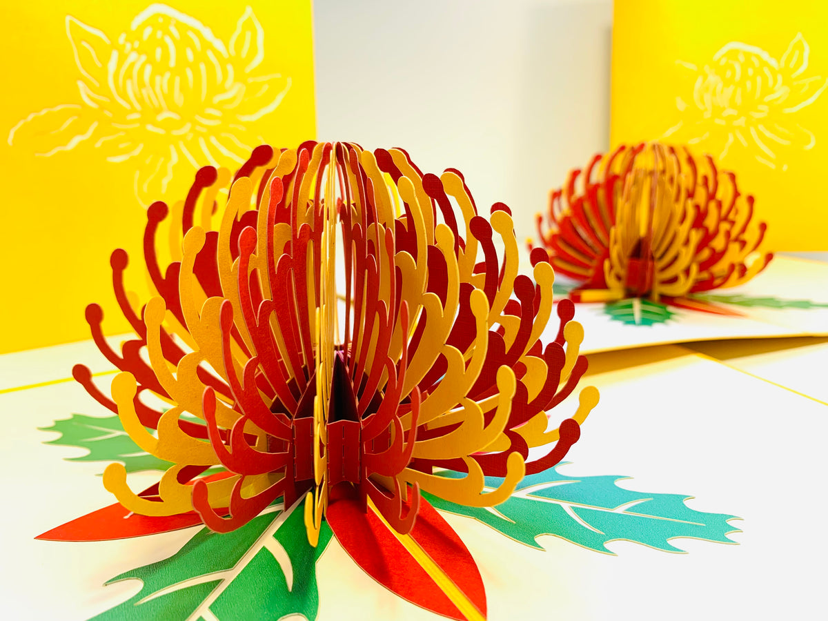 Metallic Waratah Australian Native Flower in Red & Yellow Origami Pop Cards 3D Pop Up Greeting Card Happy Birthday Thank You Handmade Gift Thinking of You Blank Card for Any Occasion Happy Mother's Day Australiana Celebrate the Beauty of Flower