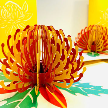 Metallic Waratah Australian Native Flower in Red & Yellow Origami Pop Cards 3D Pop Up Greeting Card Happy Birthday Thank You Handmade Gift Thinking of You Blank Card for Any Occasion Happy Mother's Day Australiana Celebrate the Beauty of Flower