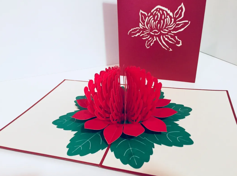 Metallic Red Waratah Australian Native Flower Origami Pop Cards 3D Pop Up Greeting Card Happy Birthday Thank You Handmade Gift Thinking of You Blank Card for Any Occasion Happy Mother's Day Happy Father's Australiana Celebrate and Romantic