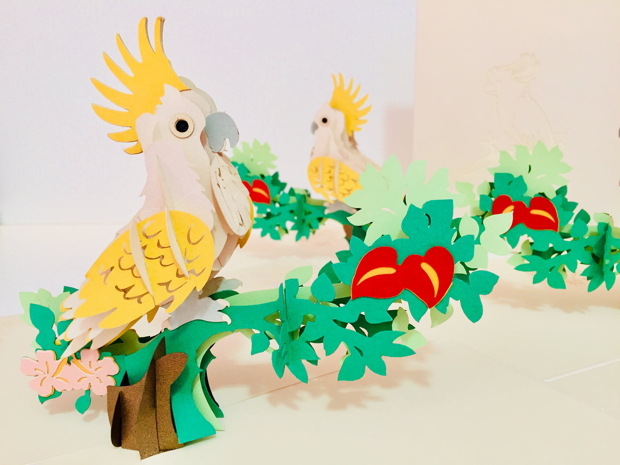 Metallic White Sulphur-Crested Cockatoo Bird Origami Pop Cards 3D Pop Up Greeting Card Happy Birthday Thank You Handmade Gift Thinking of You Blank Card for Any Occasion Happy Mother's Day Happy Father's Australiana Birds (Copy)